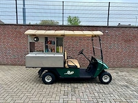 Ezgo oasis golfkar - afbeelding 12 van  17