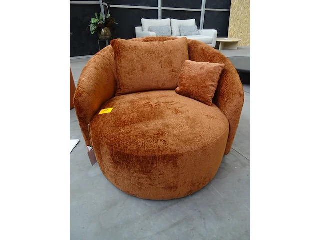 Fauteuil pr living - afbeelding 1 van  5