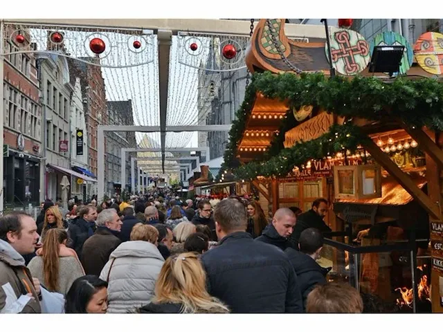 Feestverlichting - afbeelding 14 van  15