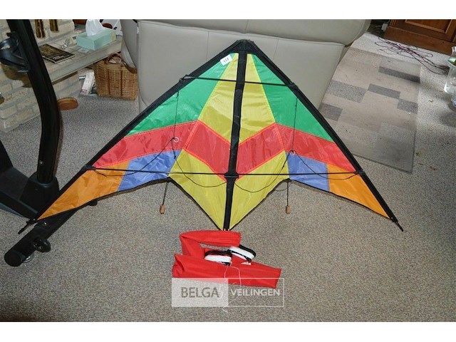 Felgekleurde vlieger - afbeelding 1 van  4