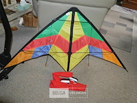 Felgekleurde vlieger - afbeelding 1 van  4