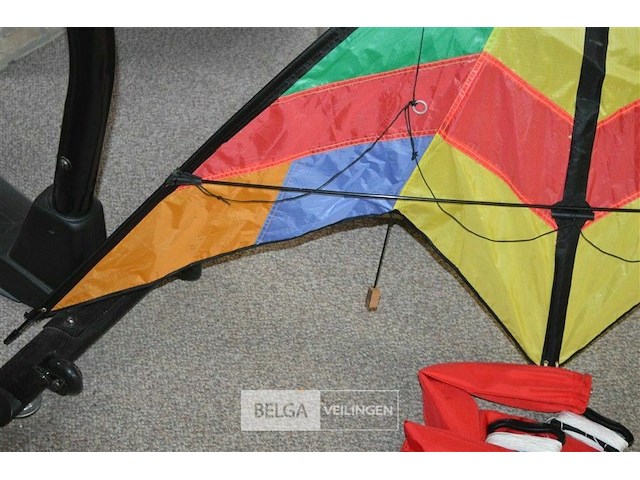 Felgekleurde vlieger - afbeelding 2 van  4