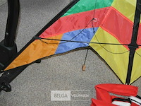 Felgekleurde vlieger - afbeelding 2 van  4