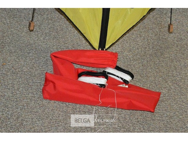 Felgekleurde vlieger - afbeelding 3 van  4