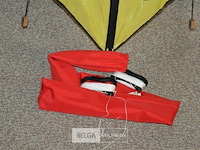 Felgekleurde vlieger - afbeelding 3 van  4