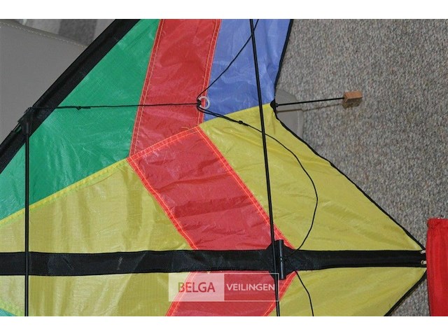 Felgekleurde vlieger - afbeelding 4 van  4