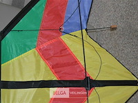 Felgekleurde vlieger - afbeelding 4 van  4