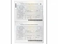 Fiat 500, 2010 - afbeelding 2 van  15