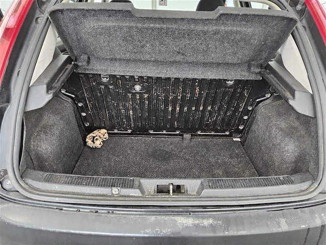 Fiat punto, 2009 - afbeelding 13 van  14