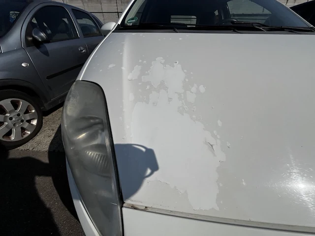 Fiat punto - afbeelding 16 van  25