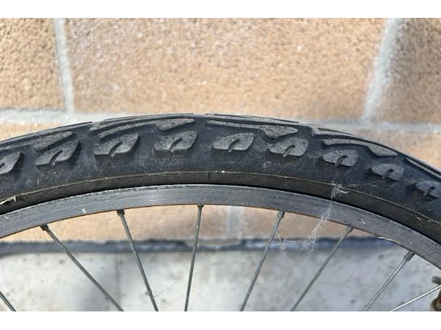 Fiets jumper trek - afbeelding 7 van  10