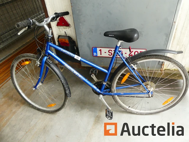 Fiets lady scott - afbeelding 1 van  7