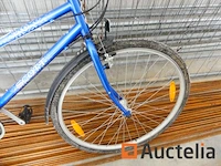 Fiets lady scott - afbeelding 7 van  7