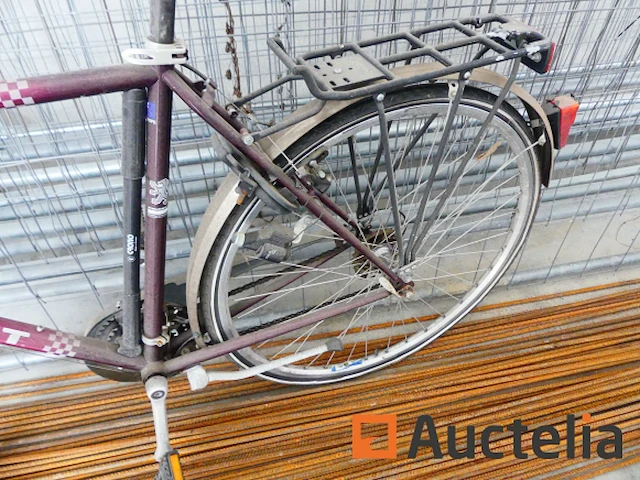 Fiets man peugeot - afbeelding 1 van  10