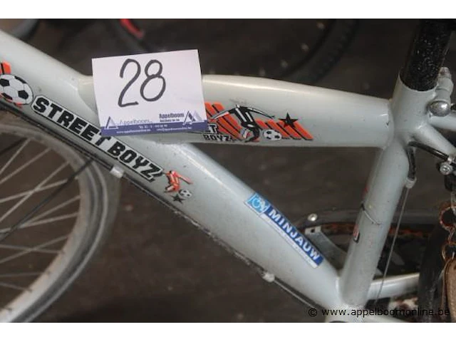 Fiets minjauw - afbeelding 2 van  2