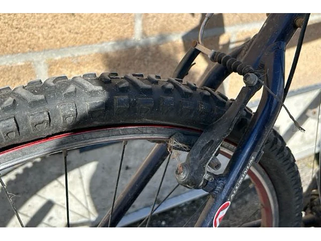 Fiets trek - afbeelding 10 van  10