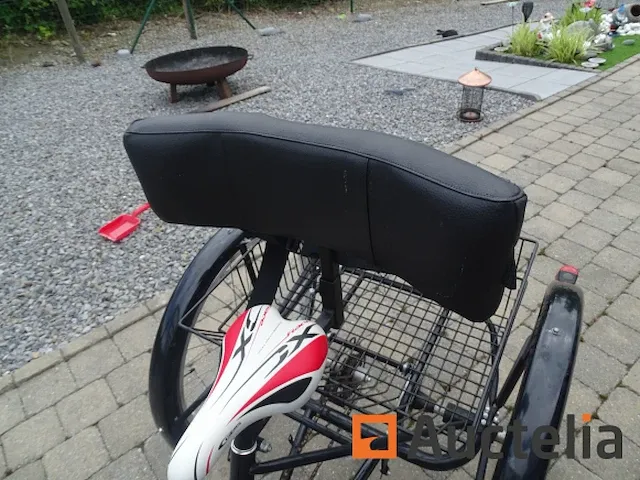 Fiets tri-bike (3 wielen) - afbeelding 4 van  21