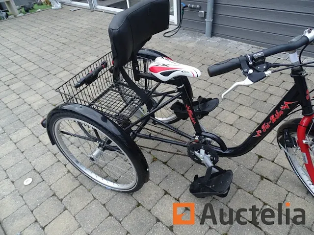 Fiets tri-bike (3 wielen) - afbeelding 5 van  21
