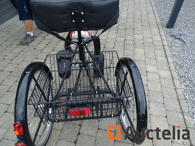 Fiets tri-bike (3 wielen) - afbeelding 6 van  21