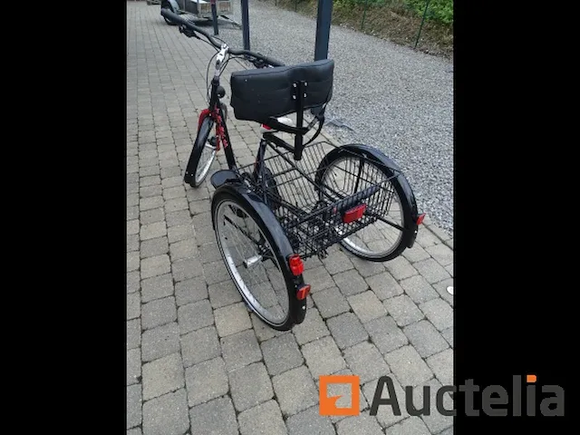 Fiets tri-bike (3 wielen) - afbeelding 7 van  21