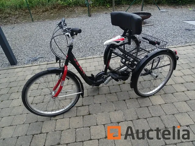 Fiets tri-bike (3 wielen) - afbeelding 10 van  21