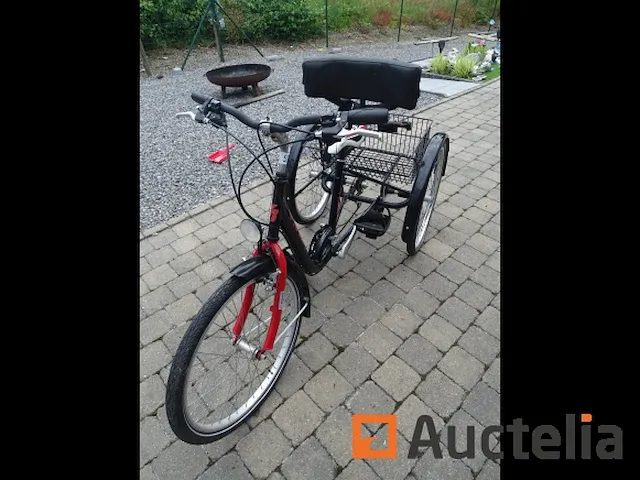 Fiets tri-bike (3 wielen) - afbeelding 14 van  21