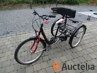 Fiets tri-bike (3 wielen) - afbeelding 15 van  21