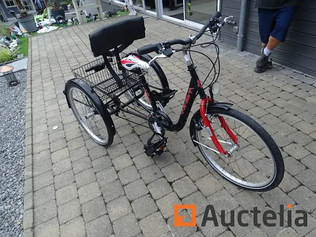 Fiets tri-bike (3 wielen) - afbeelding 17 van  21