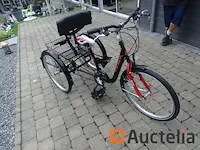 Fiets tri-bike (3 wielen) - afbeelding 17 van  21