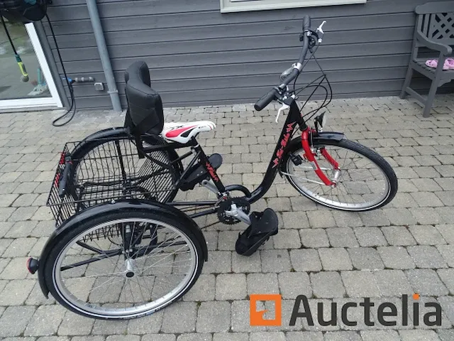 Fiets tri-bike (3 wielen) - afbeelding 18 van  21