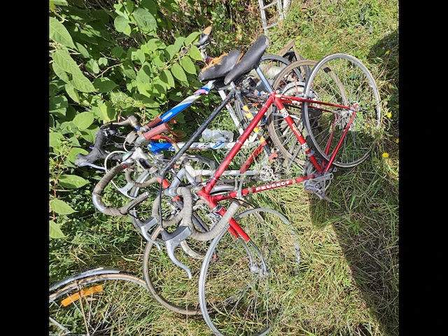 Fietsen - afbeelding 2 van  4