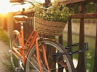 Fietsslot - afbeelding 4 van  7