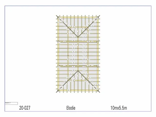 Fijnspar carport 10x5,5m - afbeelding 2 van  22