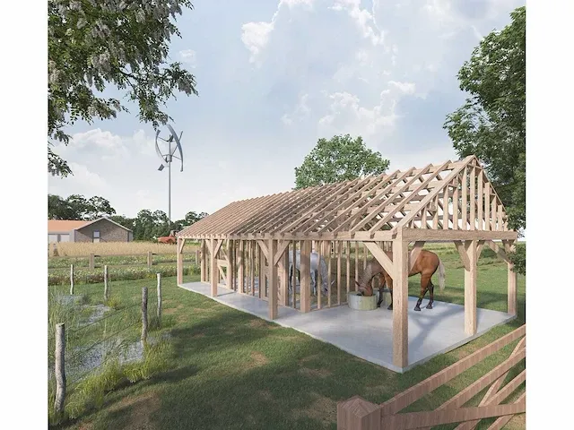 Fijnspar paardenstal 2 paarden met afdak 12x6m - afbeelding 1 van  22