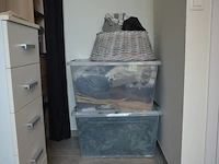 Fineerhouten kleerkast met gordijn 8 leggers 4 laden afm. 188x50x204, houten ladenkast 4 laden afm. 100x50x80, witte ladenkast 5 laden afm. 41x35x110, pvc schoenenkast , 2 dozen kerstversiering, zwart metalen kledingrek, rechthoekige spiegel zwart - afbeelding 10 van  19