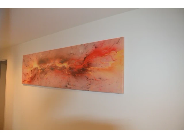 Fineerhouten kleerkast met gordijn 8 leggers 4 laden afm. 188x50x204, houten ladenkast 4 laden afm. 100x50x80, witte ladenkast 5 laden afm. 41x35x110, pvc schoenenkast , 2 dozen kerstversiering, zwart metalen kledingrek, rechthoekige spiegel zwart - afbeelding 16 van  19
