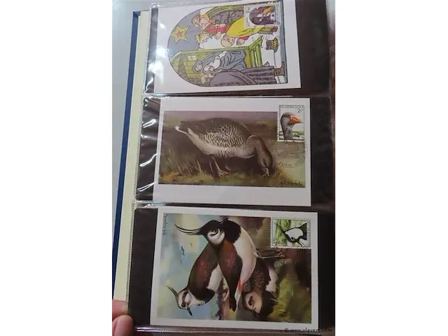 First day sheets album belgië - afbeelding 3 van  41