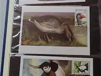 First day sheets album belgië - afbeelding 3 van  41