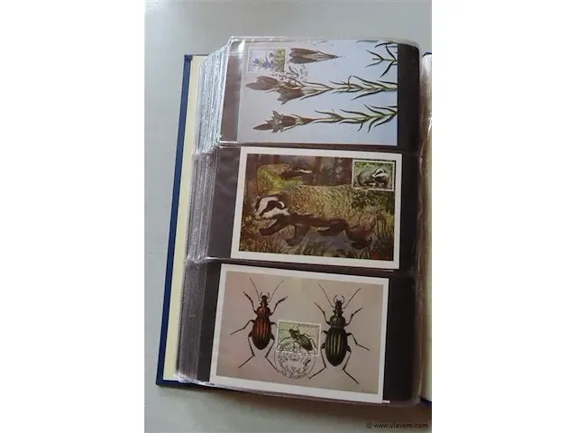 First day sheets album belgië - afbeelding 31 van  41