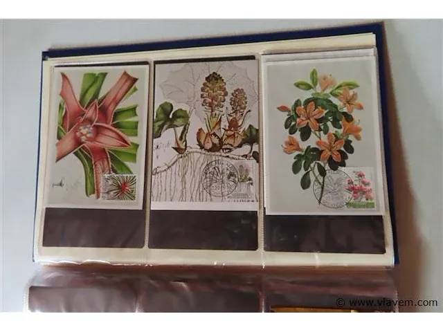First day sheets album belgië - afbeelding 35 van  41