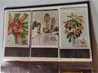 First day sheets album belgië - afbeelding 35 van  41