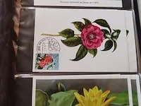 First day sheets album belgië - afbeelding 2 van  38