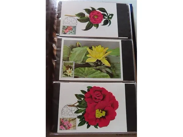 First day sheets album belgië - afbeelding 37 van  38