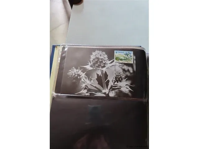 First day sheets album belgië - afbeelding 17 van  22
