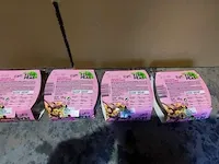 Fish peas vegan,mexicano,4 stuks - afbeelding 8 van  9