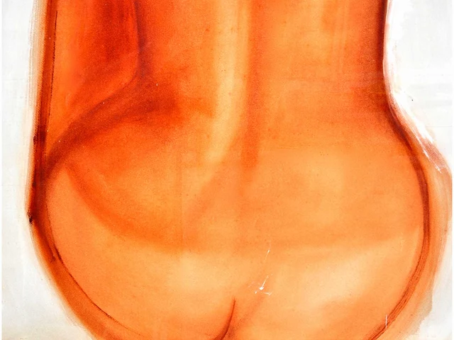 Flaure - ruggelings naakt - gemengde techniek op papier - afbeelding 6 van  8