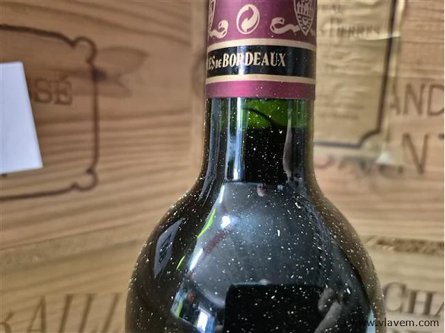 Fles chateau segue longue 1999, kasteelwijn - afbeelding 4 van  4