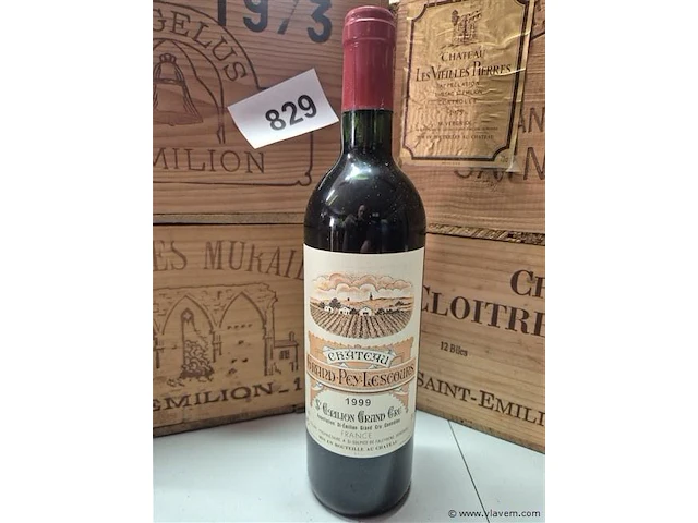 Fles grand-puy-lescours 1999, kasteelwijn - afbeelding 1 van  4
