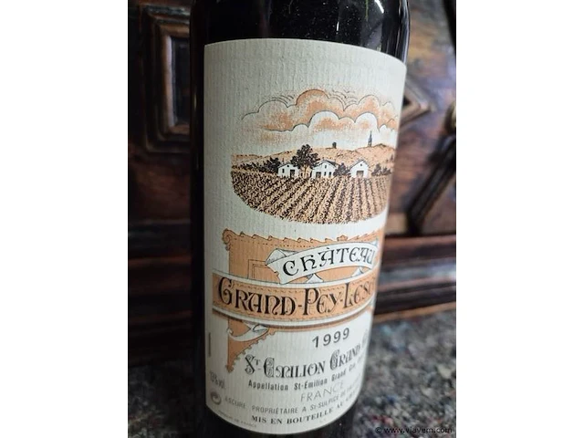 Fles rode wijn - afbeelding 2 van  3