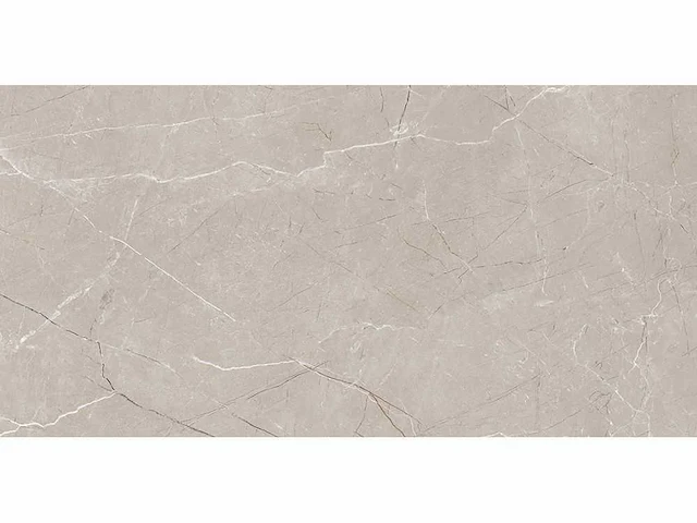 Fluxo gepolijst 60x120 cm tegel 129 m² - afbeelding 2 van  2